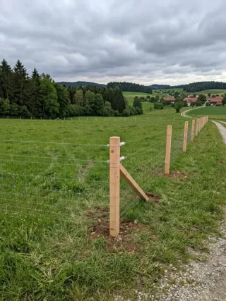 Weidezaun in Osnabrück - fachgerechte Ausführung vor Ort