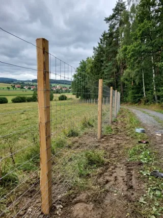 Wildzaun in Osnabrück - fachgerechte Ausführung vor Ort